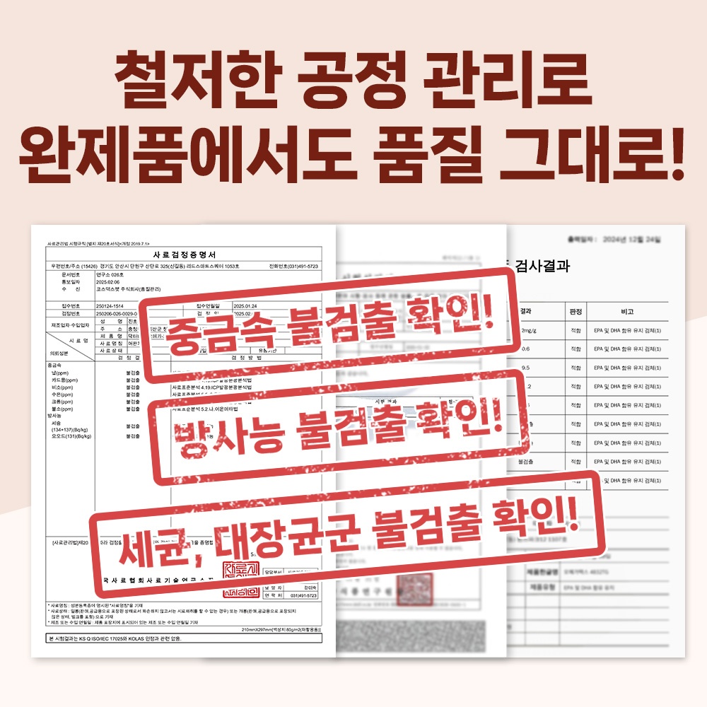 닥터바이강아지오메가