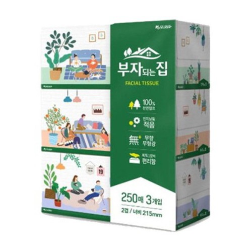 부자되는집 250매 3입 (228044) 곽 휴지 각티슈 비염티슈