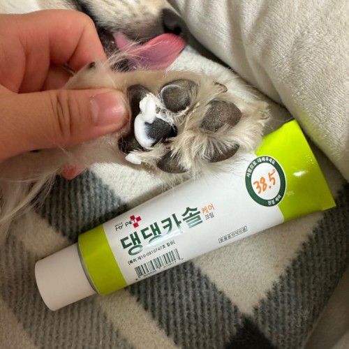 헬로마이펫 강아지연고 상처 습진 애견 피부연고 댕댕카솔 50g