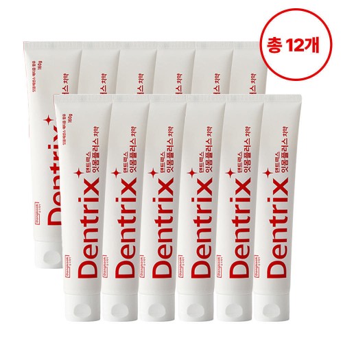동국제약 덴트릭스 잇몸플러스 치약 / 잇몸케어 및 구취개선 효과 160g, 12개