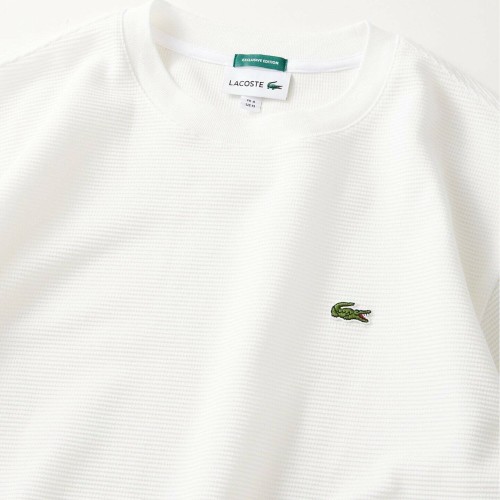 라코스테 LACOSTE x 저널스탠다드 별주 와플 반팔 남성 비스포크 티셔츠 2컬러