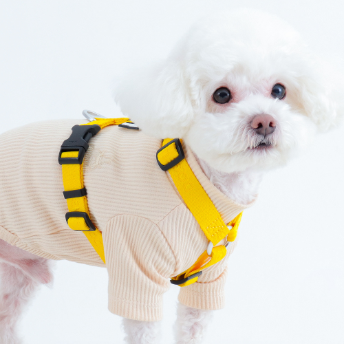 독스랩 강아지 하네스 소형견 가슴줄 클래식 중형견 대형견 H형 XS