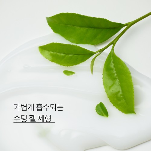 이니스프리 아일 넘버 바디로션 [그린티 에썽스] 300mL