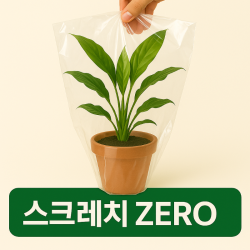 오렌지자스민 키우기 공기정화식물 오렌지쟈스민